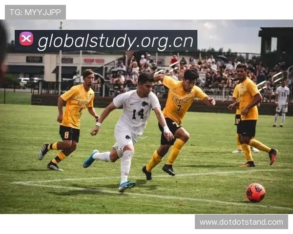 乐鱼滚球体育全面升级，创新赛事体验提升用户粘性，助力体育娱乐多元化发展